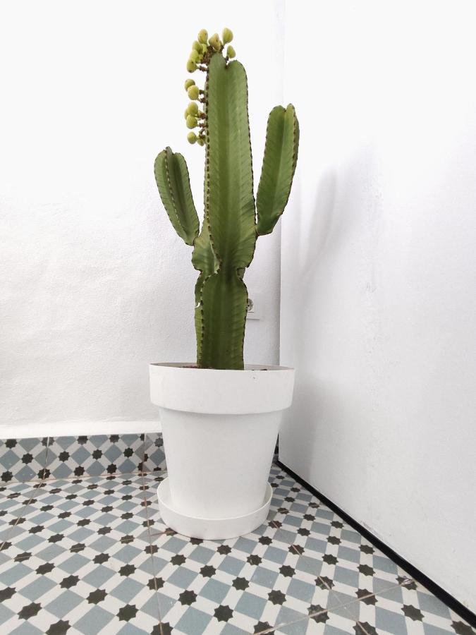 Jimaral Apartamento Vejer de la Frontera Exterior foto